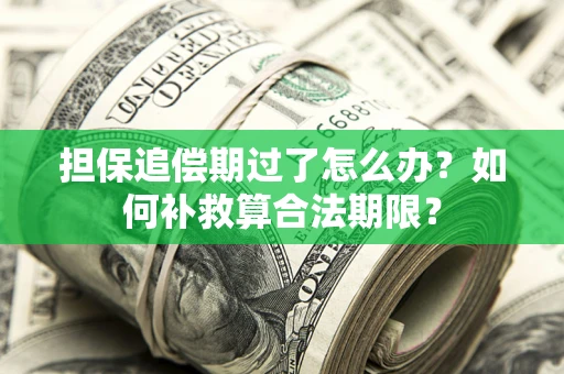 济南担保追偿期过了怎么办？如何补救算合法期限？