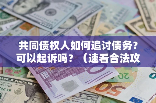济南共同债权人如何追讨债务？可以起诉吗？（速看合法攻略）